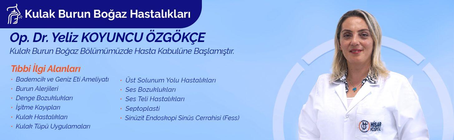 Yeliz Koyuncu Özgökçe